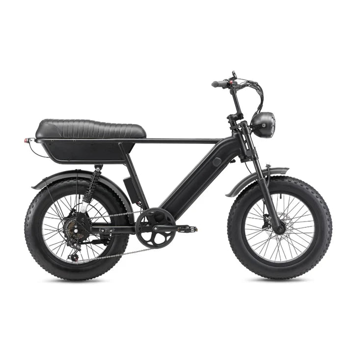 Full Suspension Fat Tire Electric Bike: YANGOR Y20 Plus