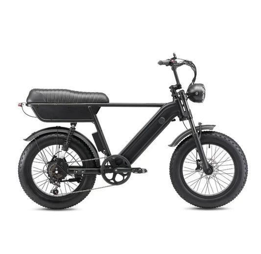 Full Suspension Fat Tire Electric Bike: YANGOR Y20 Plus