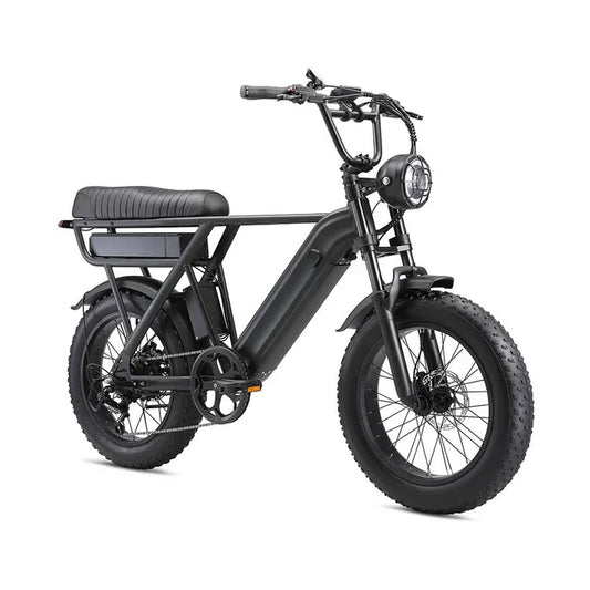 fat tire e-bike