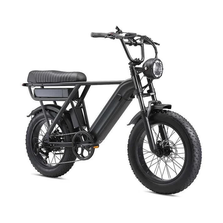 20 Inch Electric Bike with 48V 500W Motor for Urban and Off-Road Riding