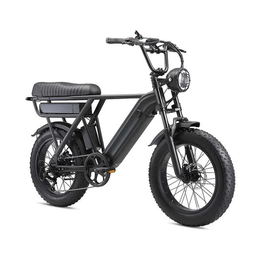 20 Inch Electric Bike with 48V 500W Motor for Urban and Off-Road Riding