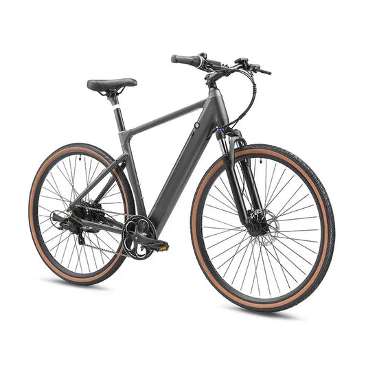 city ebike for adults