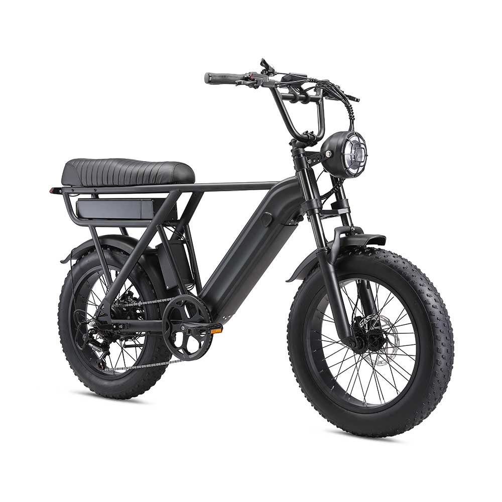 YANGOR Y20pro 20inch Fat Tire Hydraulic Brake 48V 500W E-bike