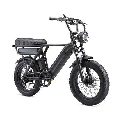 YANGOR Y20pro 20inch Fat Tire Hydraulic Brake 48V 500W E-bike