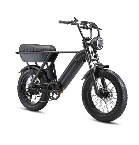 YANGOR Y20 Fat Tire Electric Bike 48V 500W 15Ah Battery
