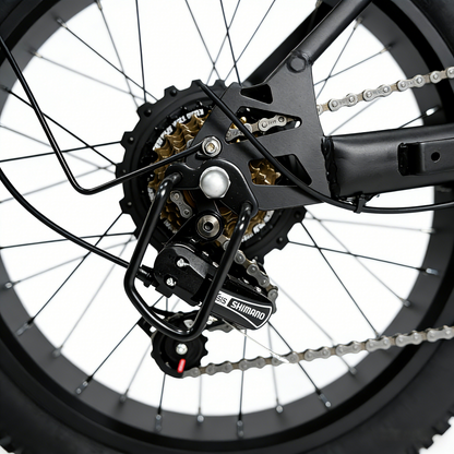 YANGOR Y20pro 20inch Fat Tire Hydraulic Brake 48V 500W E-bike